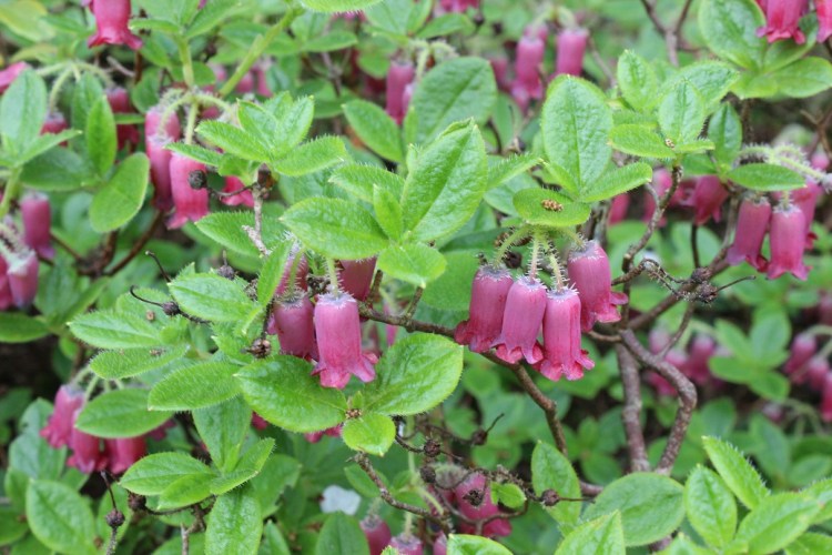 May15 Andrews Corner 157