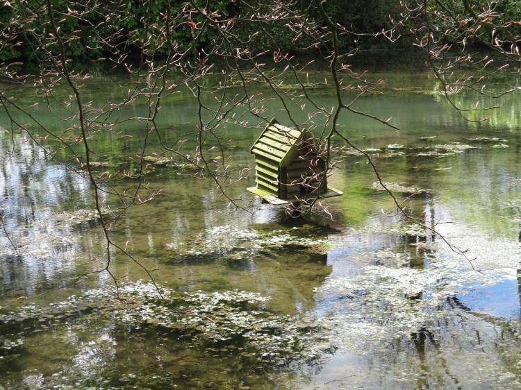 Kilver Court - duck house