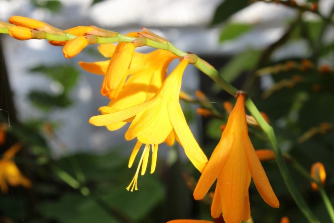 This image has an empty alt attribute; its file name is img_2205.jpg