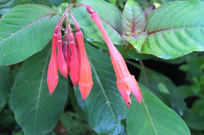 This image has an empty alt attribute; its file name is img_2214.jpg