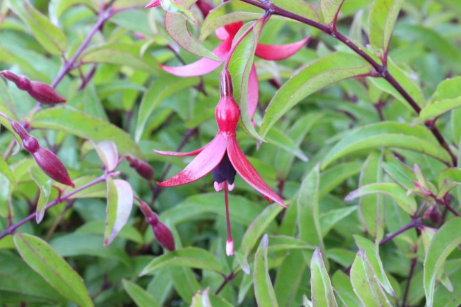 This image has an empty alt attribute; its file name is img_2227.jpg