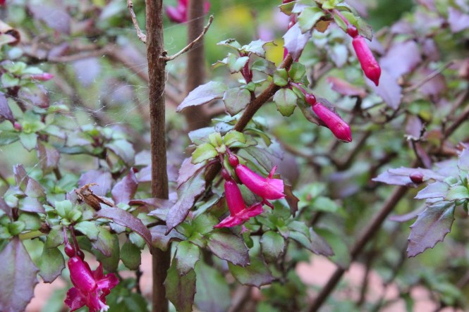 This image has an empty alt attribute; its file name is img_2234.jpg